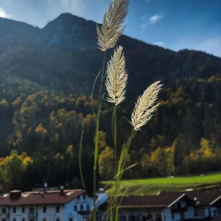 Kienberghof *