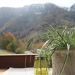 Kienberghof 인젤