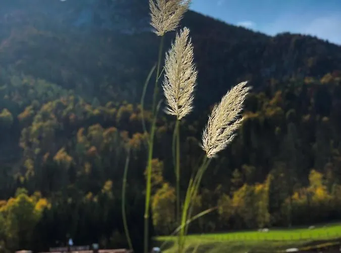 Kienberghof *